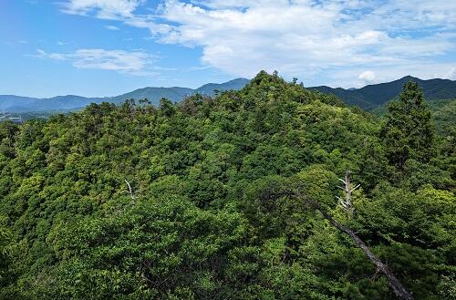 20230604鎌掛城山を.jpg