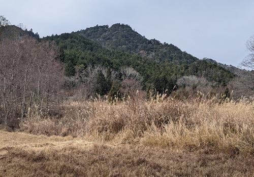 20201231県境からの岩尾山.jpg