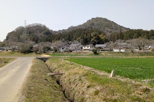 20250328菩提寺山.jpg