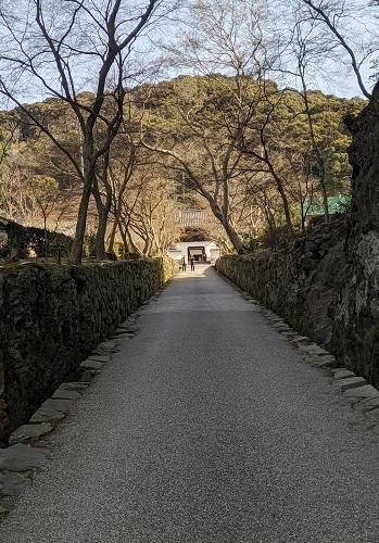 20200321興聖寺からの仏徳山方面.jpg