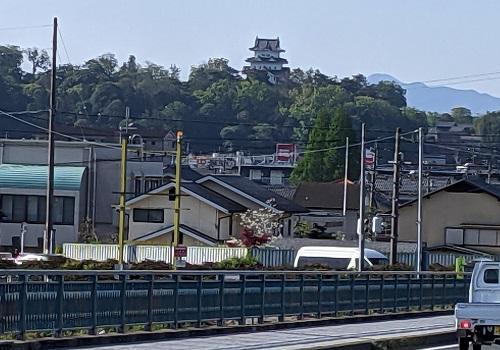 20210429服部川からの上野城.jpg