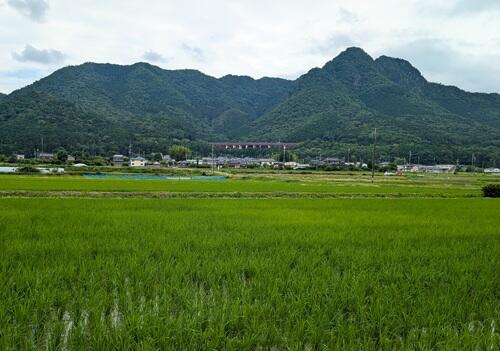 20250623三尾山.jpg
