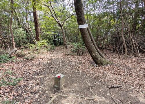 20250328菩提寺山山頂.jpg