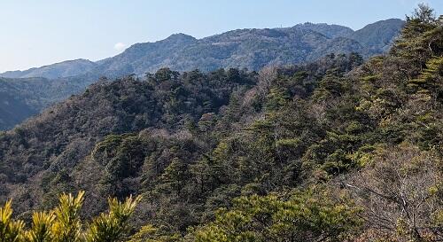 20230114馬ノ背から林山と小天狗山.jpg