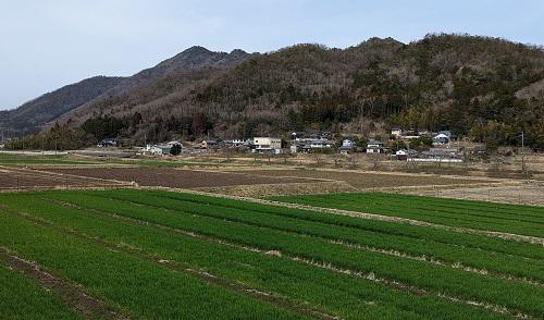 20220325木器付近からの大船山.jpg