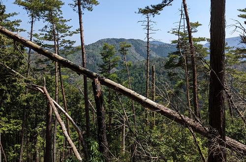 20220410千歳山からの鎌ヶ岳と三頭山.jpg